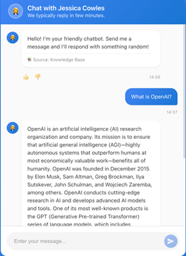  Custom chatbot UI (Source: Plainsight) 